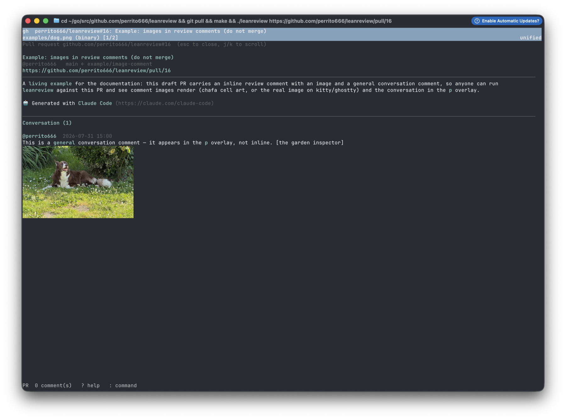 The conversation in the overlay, with its image rendered